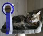 nikolina_ch_02052010b_small.jpg