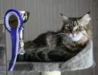 nikolina_ch_02052010f_small.jpg